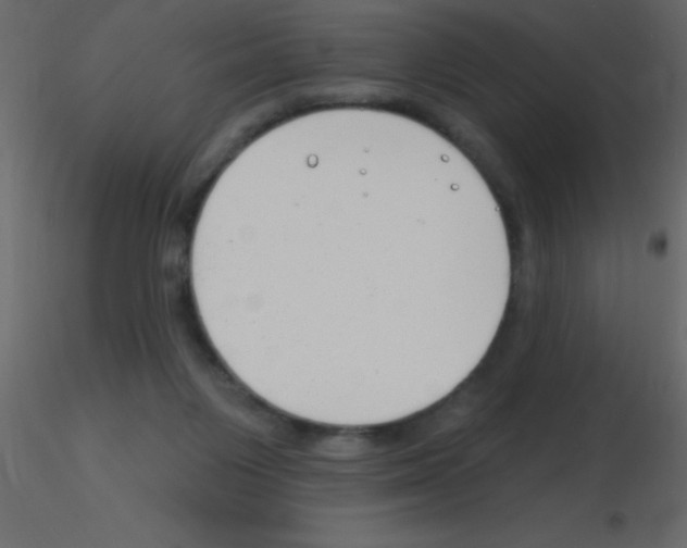 X0000115810119200912241922
