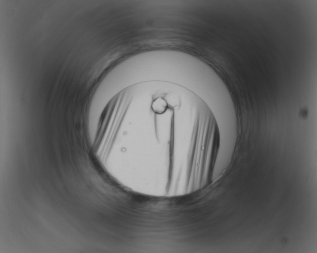 X0000115810120200912241922