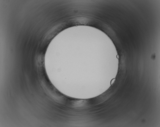 X0000115810122200912241922