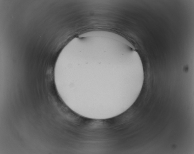 X0000115810123200912241922