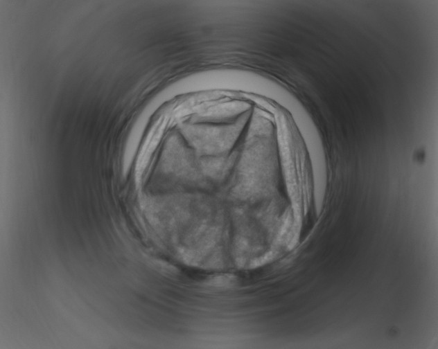 X0000115810124200912241922