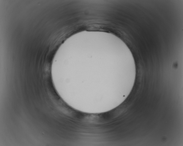 X0000115810125200912241922