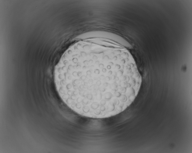 X0000115810127200912241922