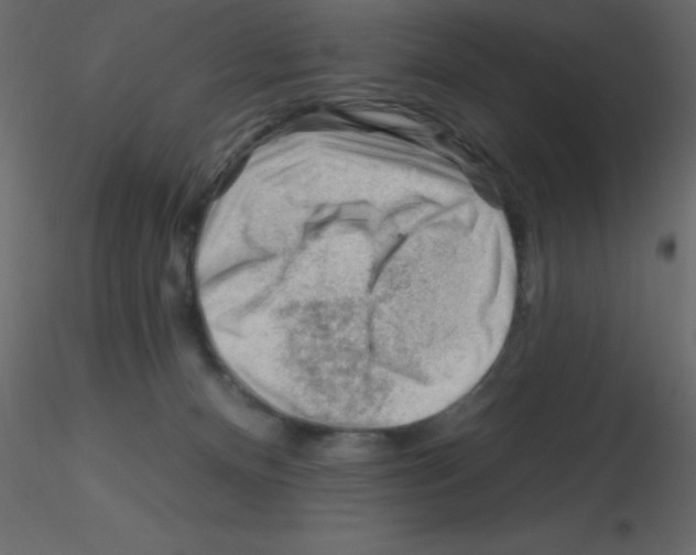 X0000115810128200912241922