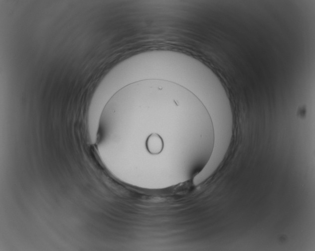 X0000115810129200912241922