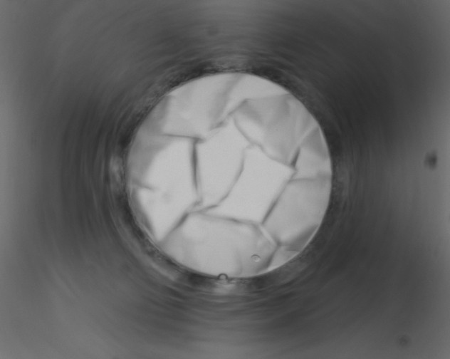 X0000115810130200912241922