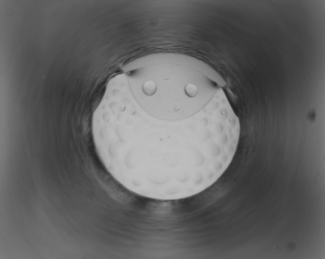 X0000115810131200912241922