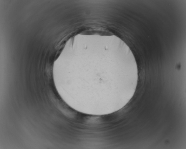 X0000115810132200912241922
