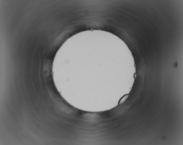 X0000115810133200912241922