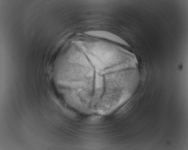 X0000115810136200912241922