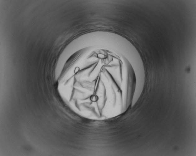 X0000115810137200912241922