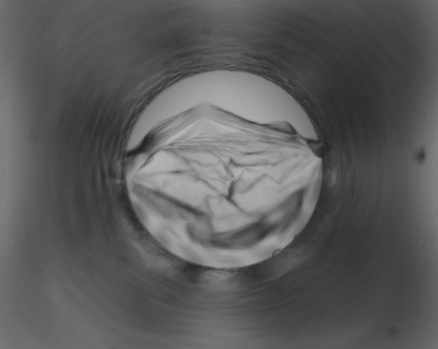 X0000115810139200912241922