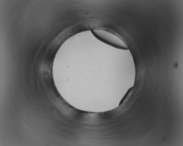 X0000115810140200912241922