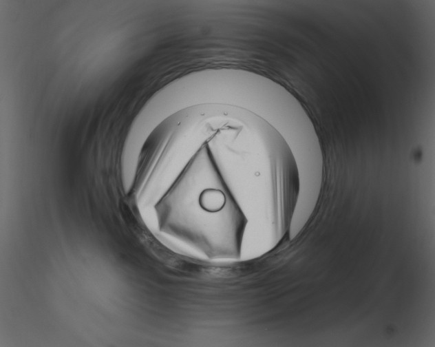 X0000115810141200912241922