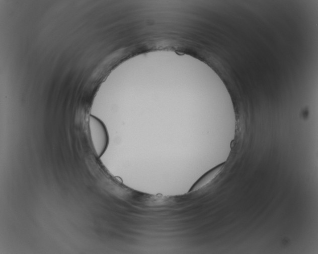 X0000115810142200912241922
