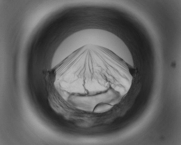 X0000115810143200912241922