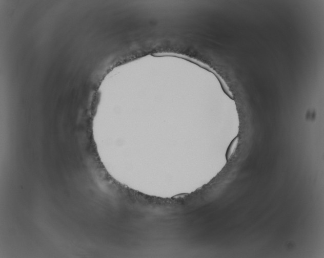 X0000115810144200912241922