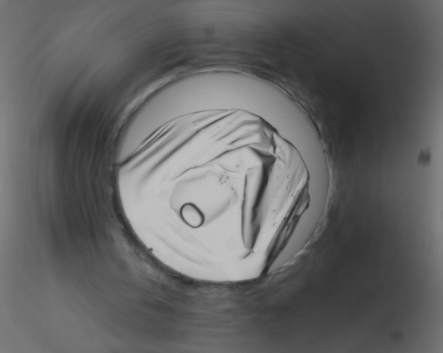 X0000115810146200912241921