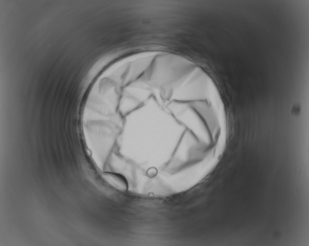 X0000115810147200912241921