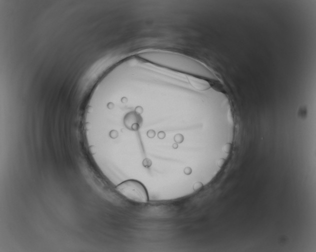 X0000115810149200912241921