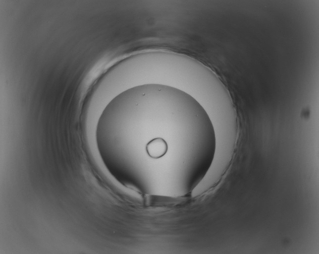 X0000115810150200912241921