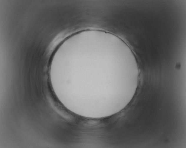 X0000115810151200912241921