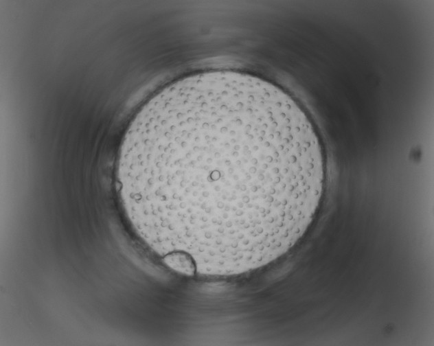 X0000115810153200912241921