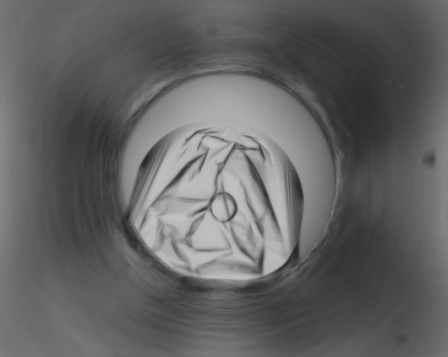 X0000115810154200912241921