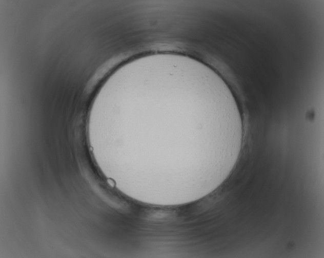 X0000115810155200912241921