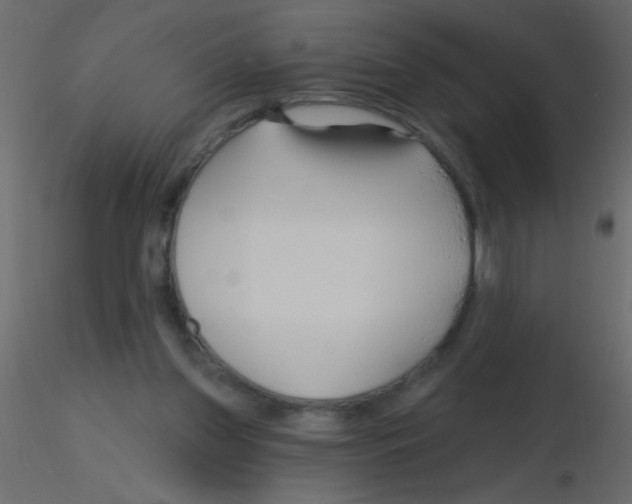 X0000115810157200912241921