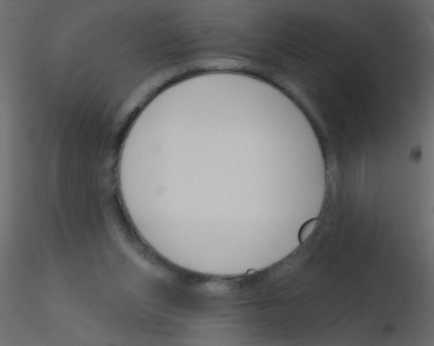 X0000115810159200912241921