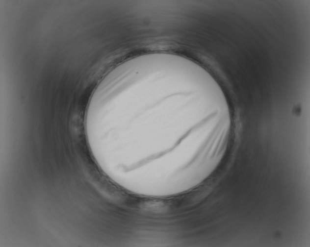 X0000115810161200912241921