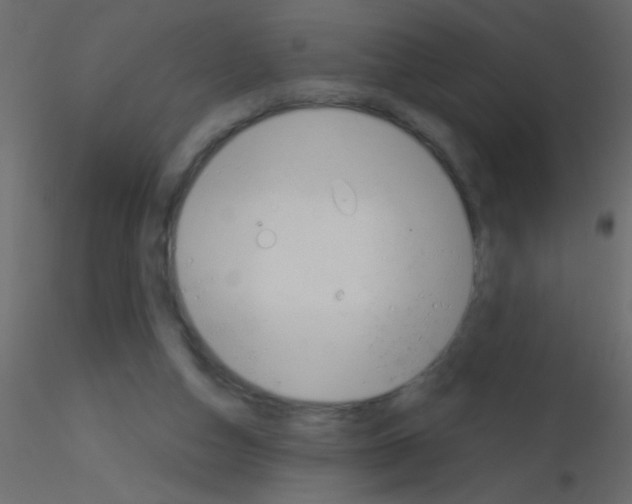 X0000115810162200912241921