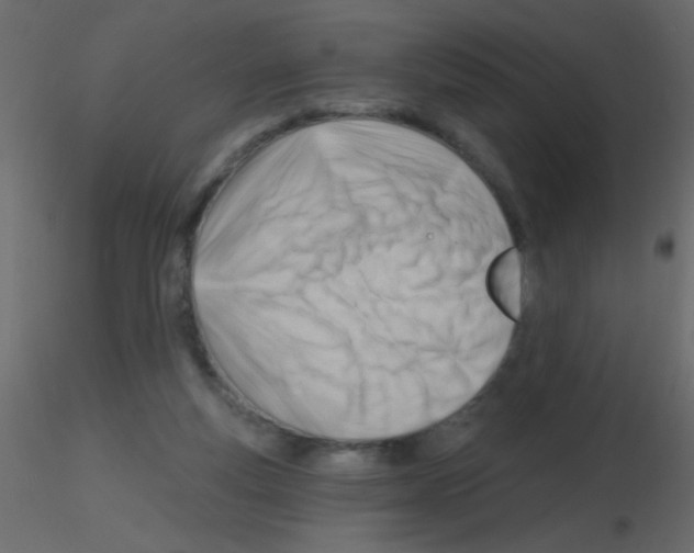 X0000115810163200912241921