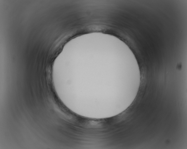 X0000115810166200912241921