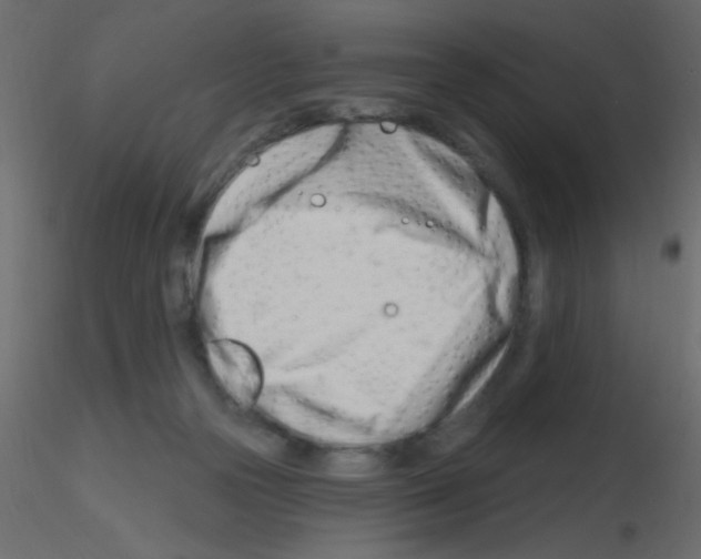 X0000115810169200912241921