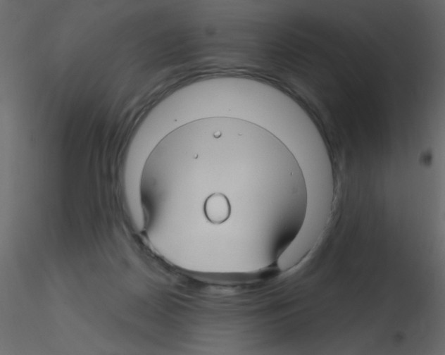 X0000115810170200912241921