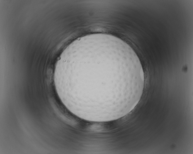 X0000115810171200912241921