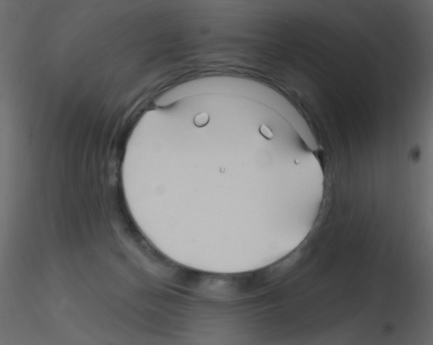 X0000115810174200912241921