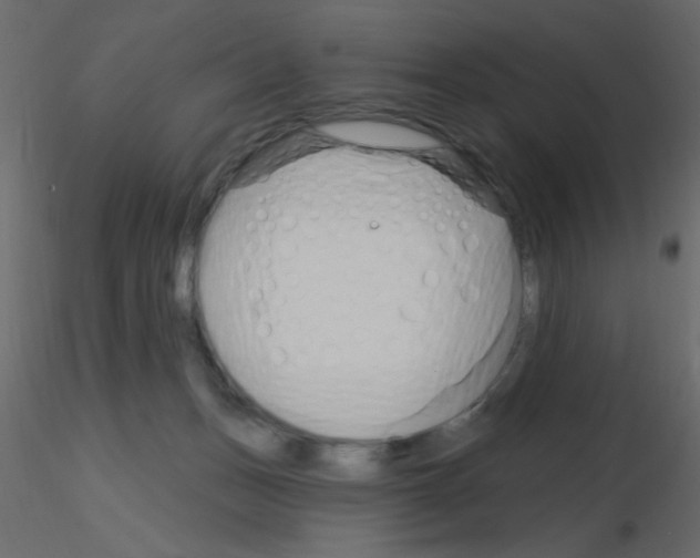 X0000115810175200912241921