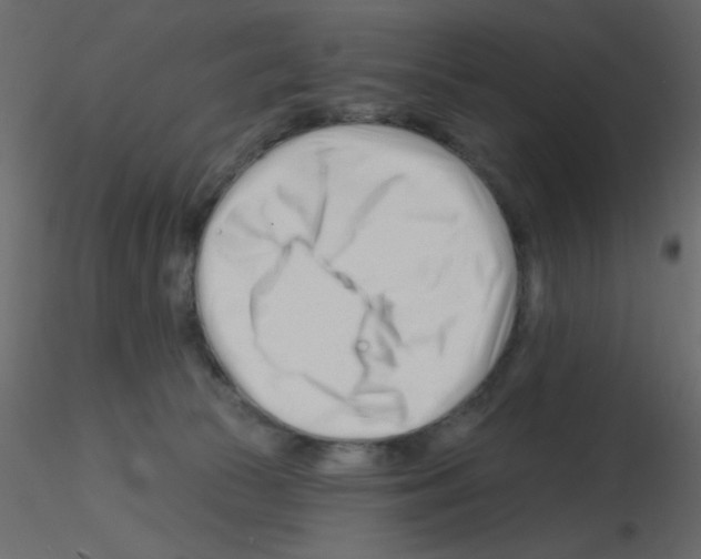 X0000115810177200912241921