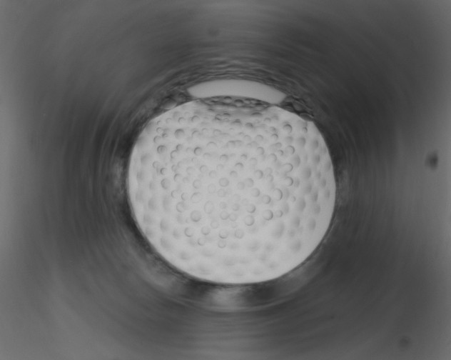 X0000115810178200912241922