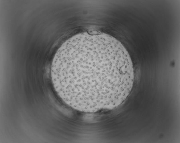 X0000115810179200912241922