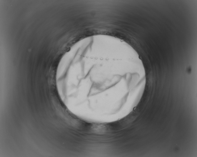 X0000115810181200912241922