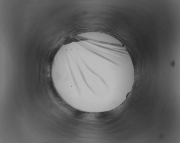 X0000115810182200912241922