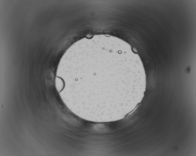 X0000115810183200912241922