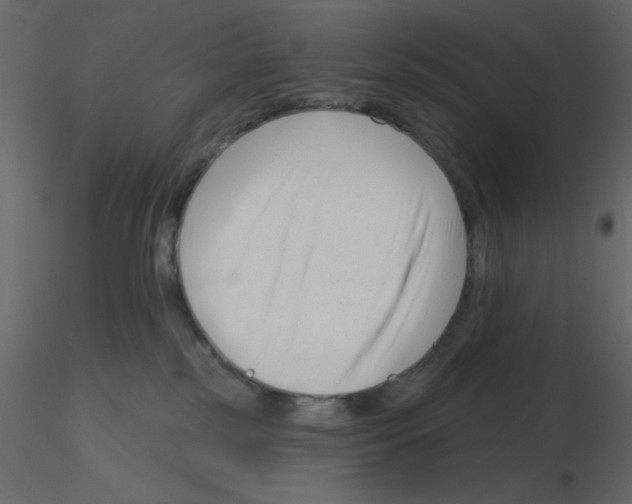 X0000115810185200912241922