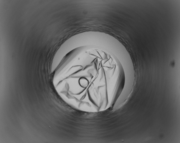 X0000115810186200912241922