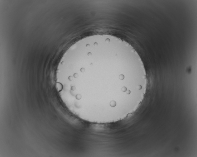 X0000115810187200912241922