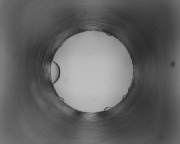 X0000115810189200912241922